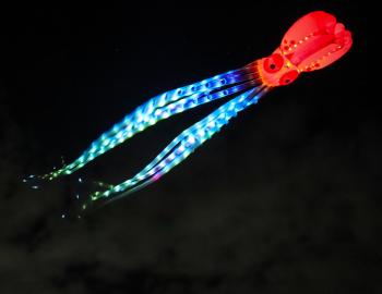 Lighted Octopus Kite