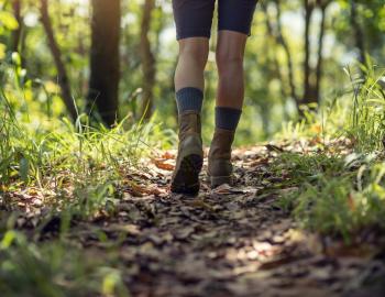 Closeup of an individual's shoes as they walk along a forest trail