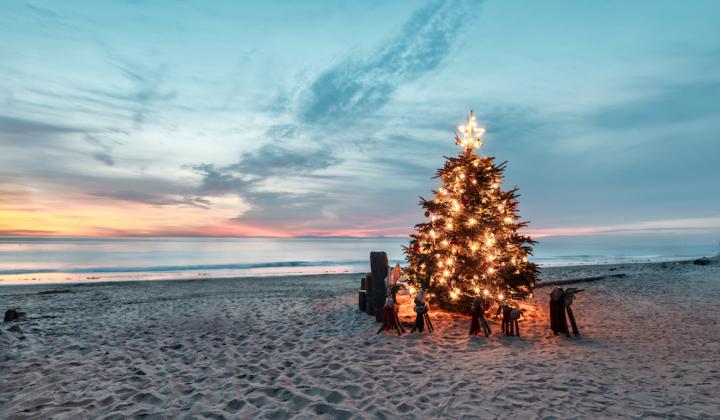 Christmas tree on the beach