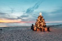 Christmas tree on the beach