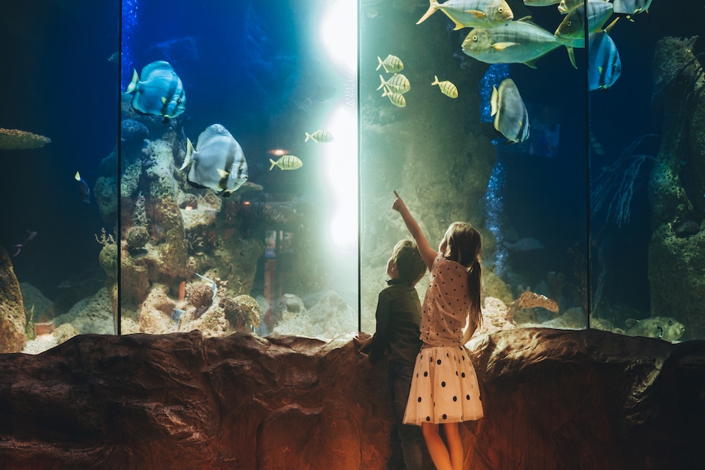 kids at aquarium