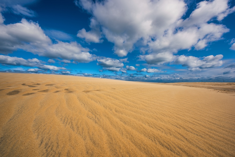 Sand dunes at Jockey's Ridge State Park